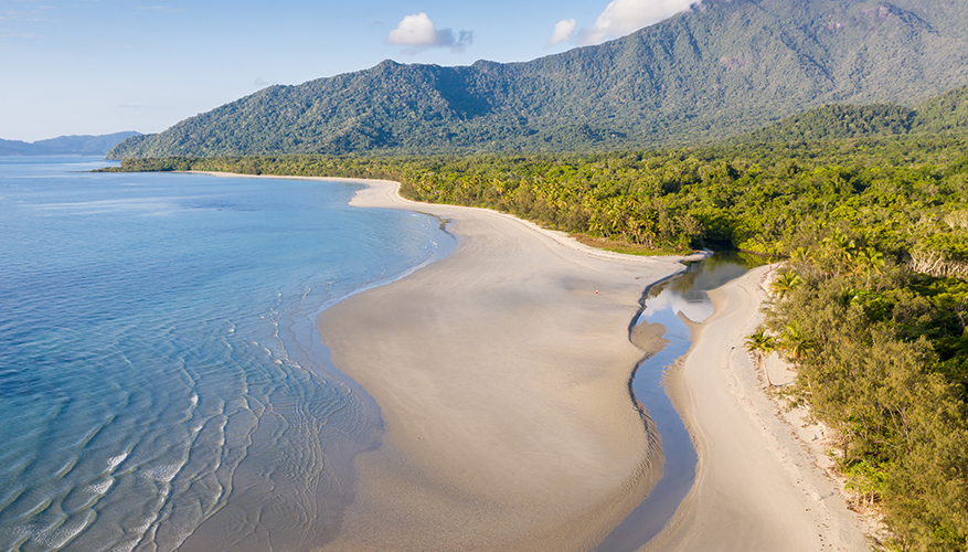 Daintree Forest